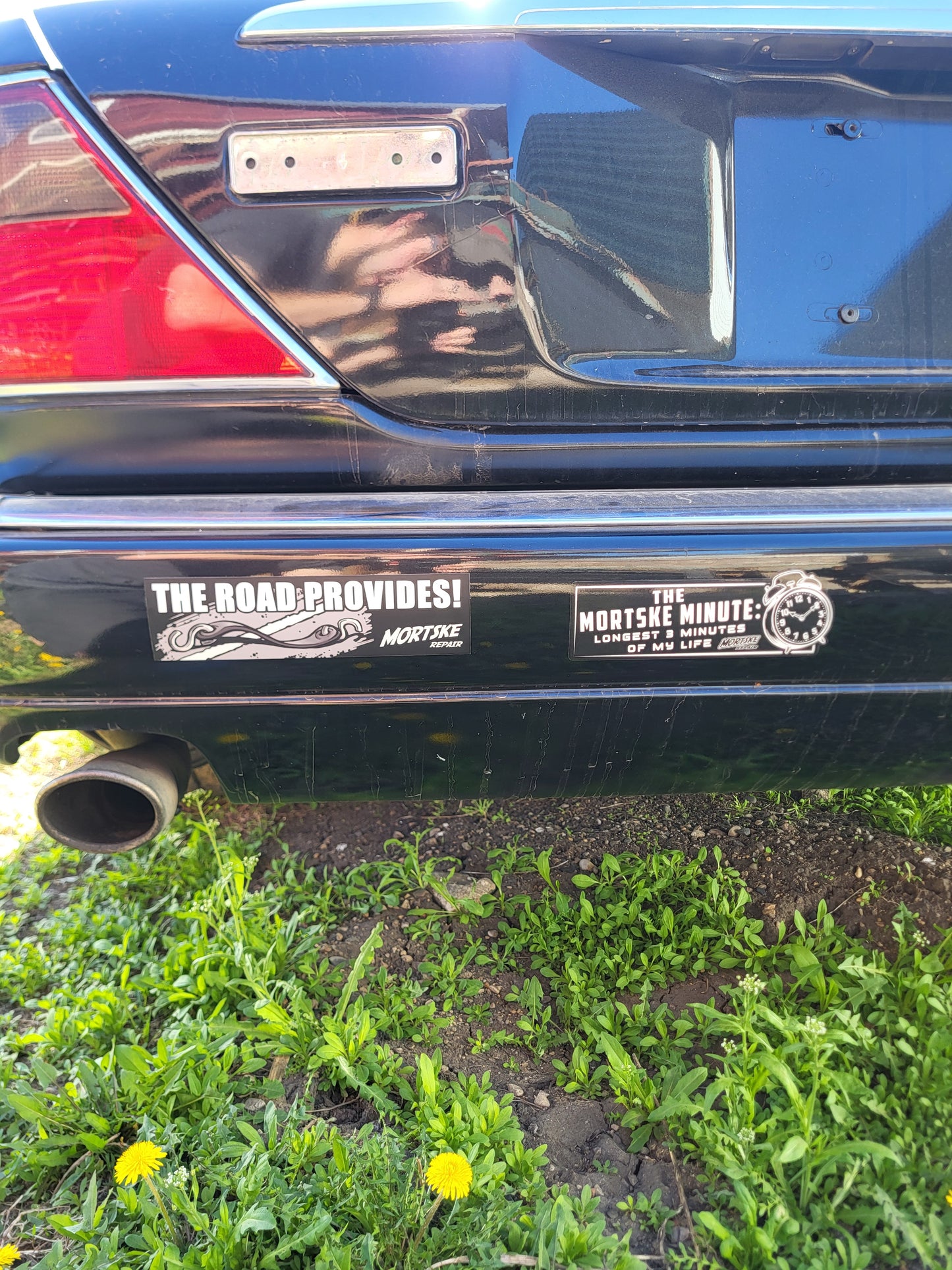 Bumper Decal Collection